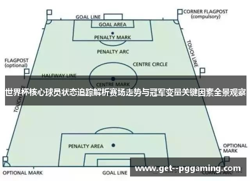 世界杯核心球员状态追踪解析赛场走势与冠军变量关键因素全景观察