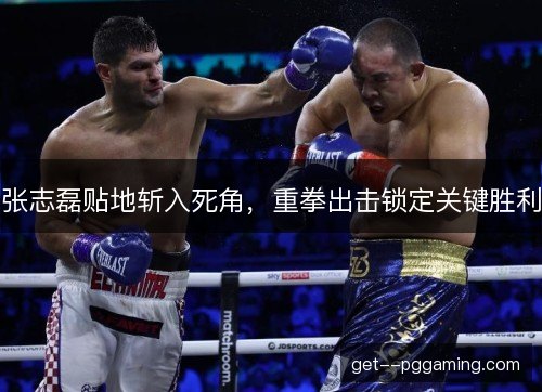 张志磊贴地斩入死角，重拳出击锁定关键胜利